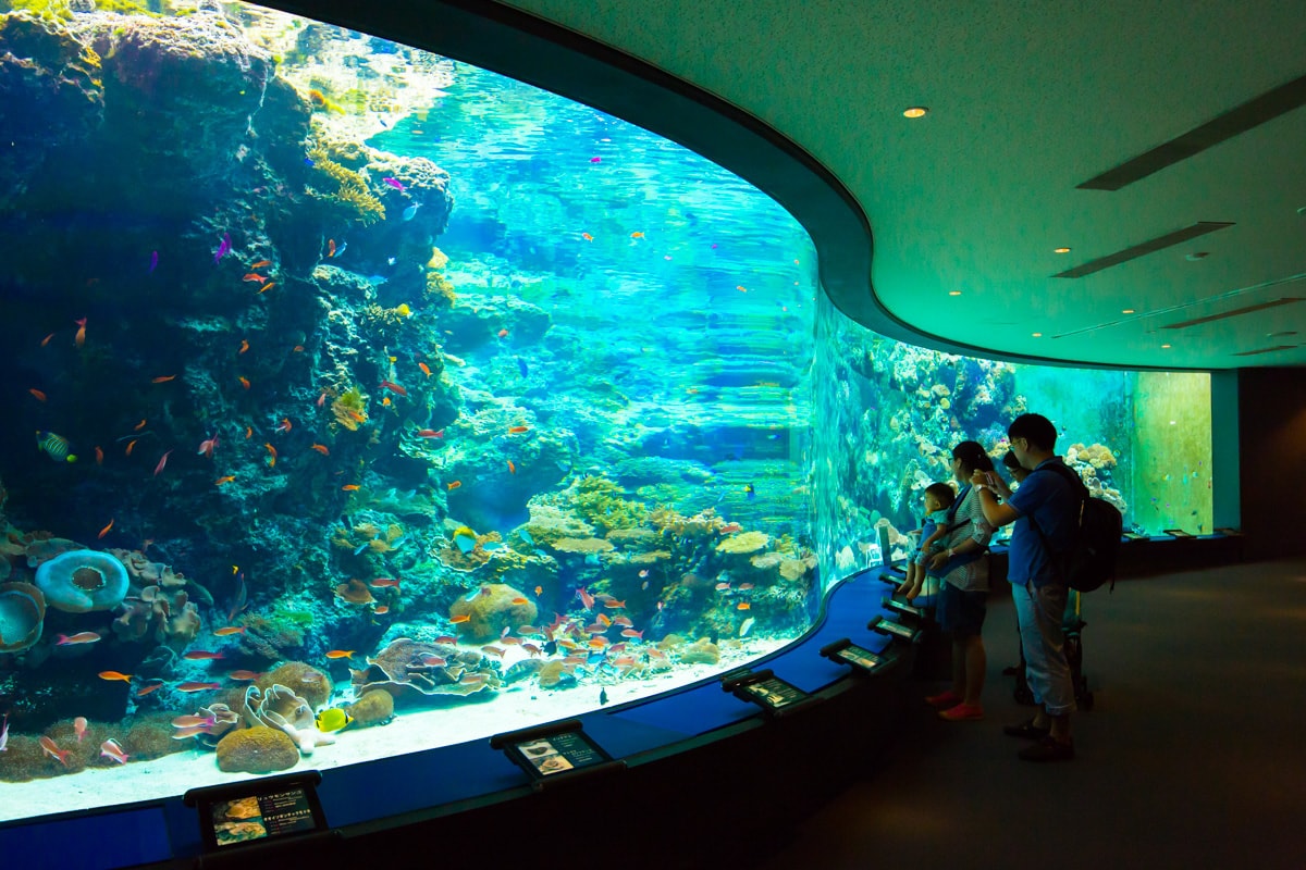 Top 15 Largest Aquariums In The World 2019