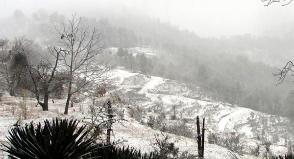 Almora