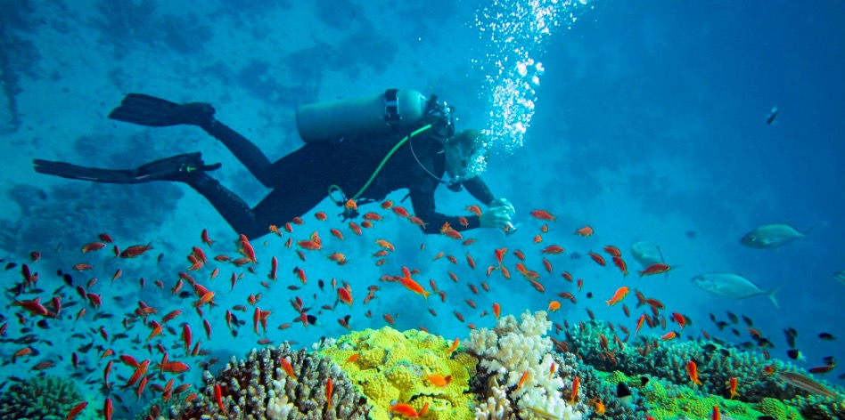 Murudeshwar Scuba Diving