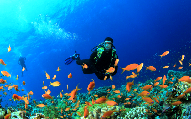 Scuba Diving Andaman