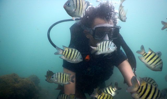 scuba diving in tarkarli
