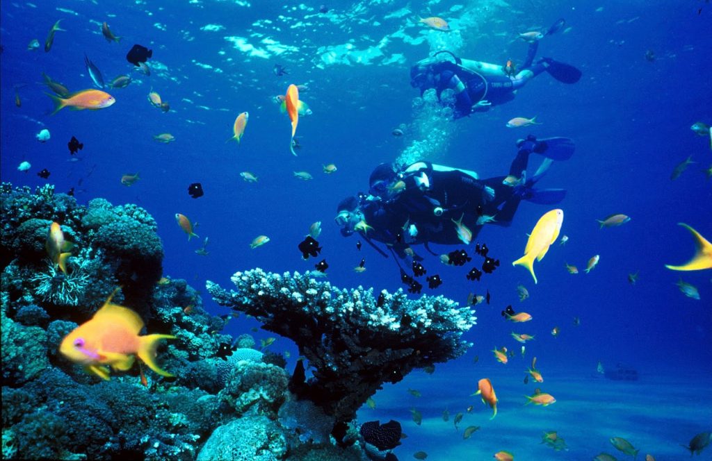 Scuba diving Lakshadweep