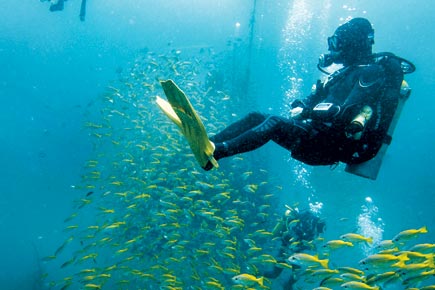 Scuba Diving Pondicherry