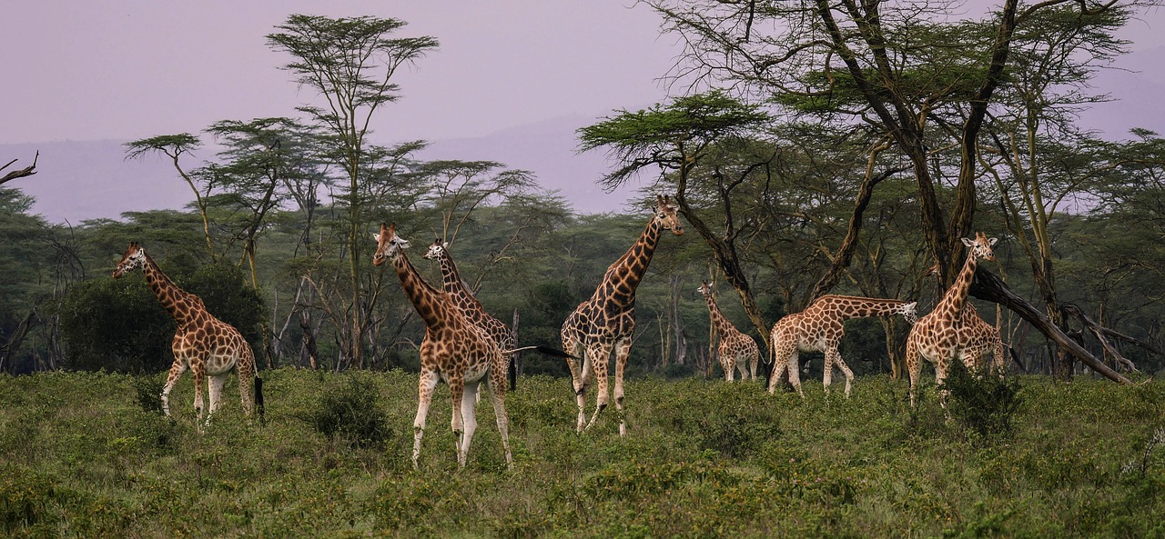 Kenya