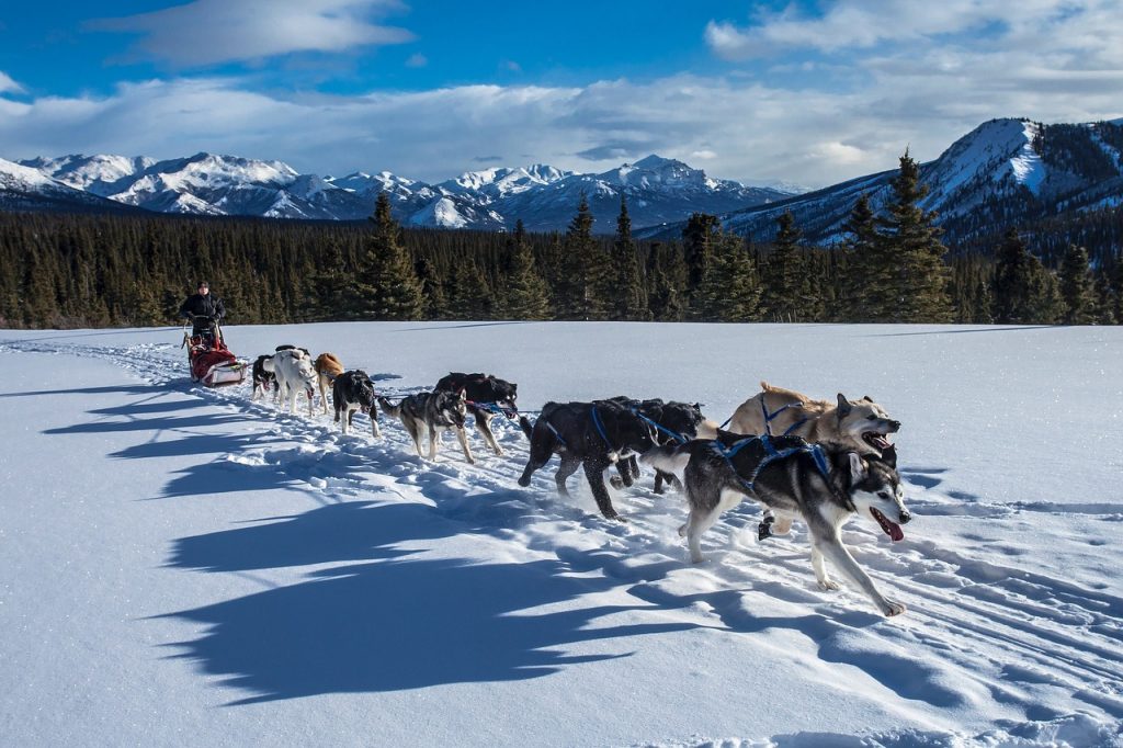 Alaska: Largest States in United States