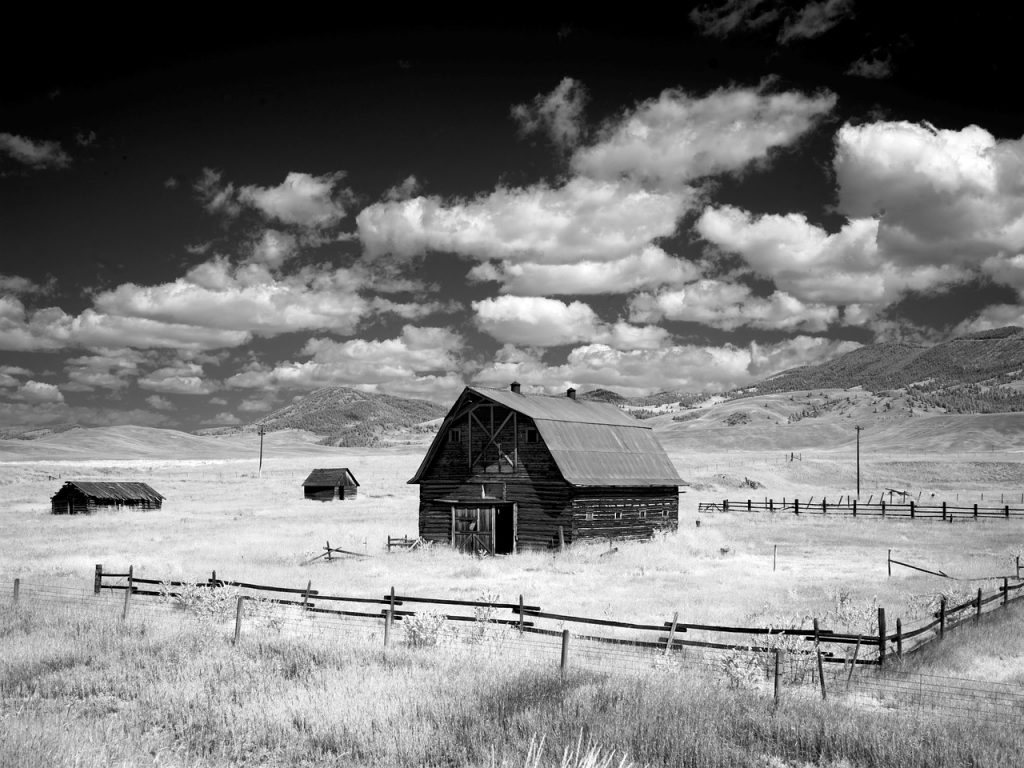 Montana