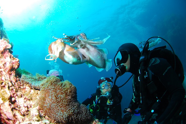 Aliwal Shoal