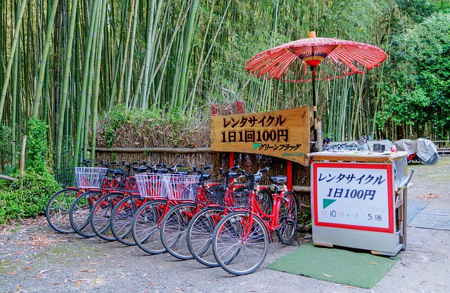 Arashiyama Bamboo Grooves Kyoto Travel Guide