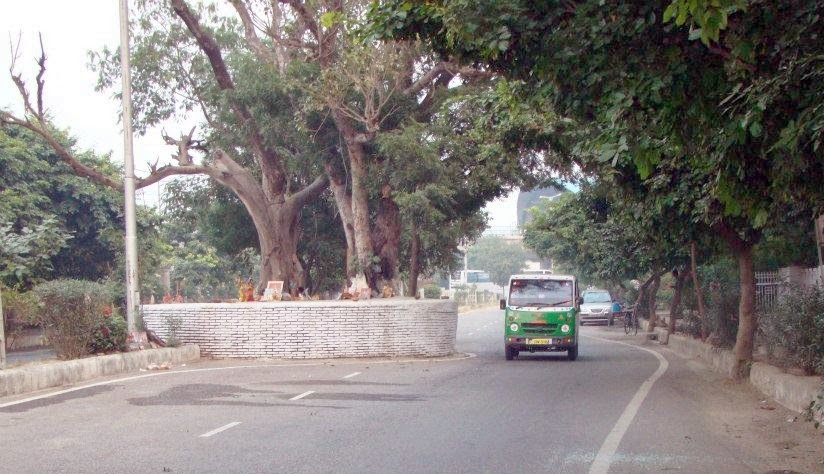 The Haunted Tree Of Dwarka Sector 9