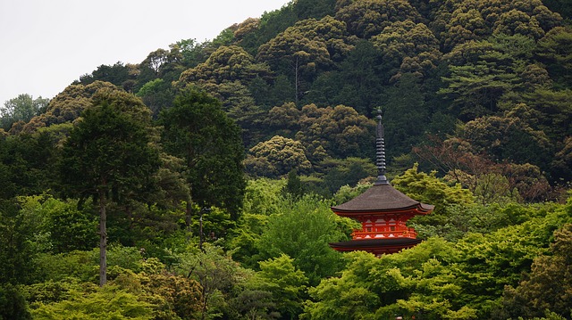 Kyoto Travel Guide
