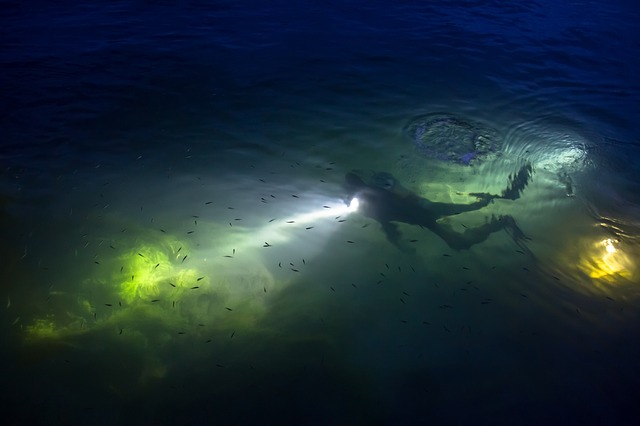 Manta Ray Night Dive