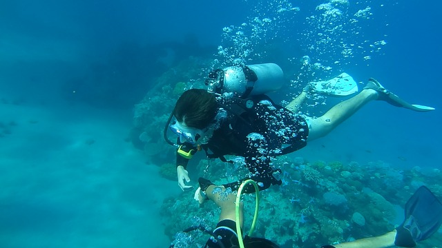 U-352 Dive