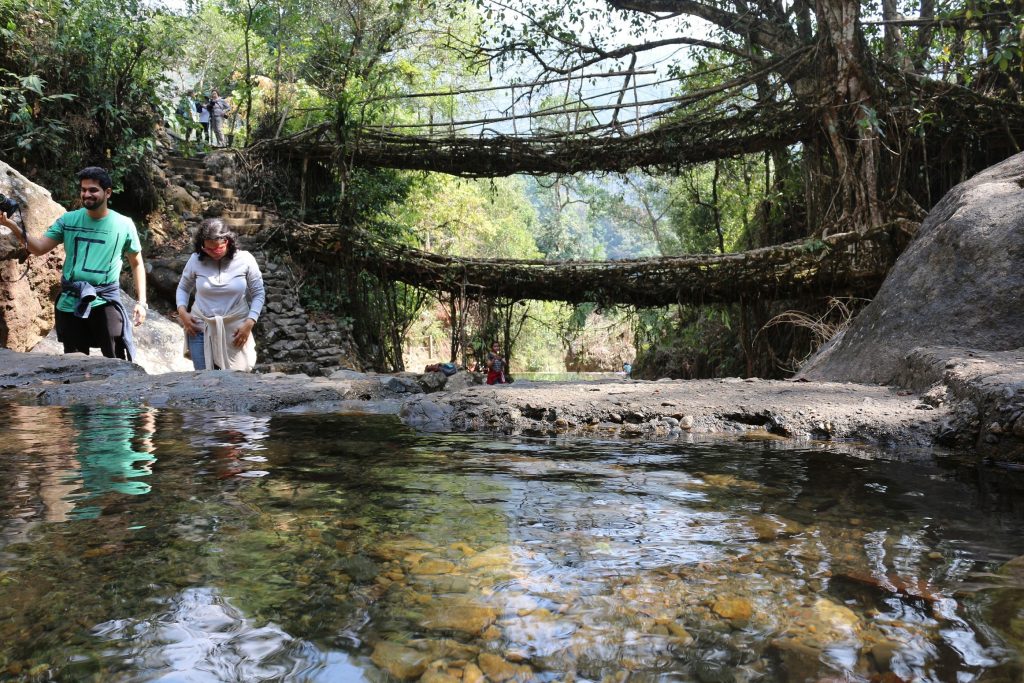 Living Root bridge, Meghalaya