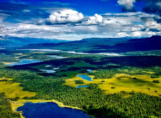Denali National park