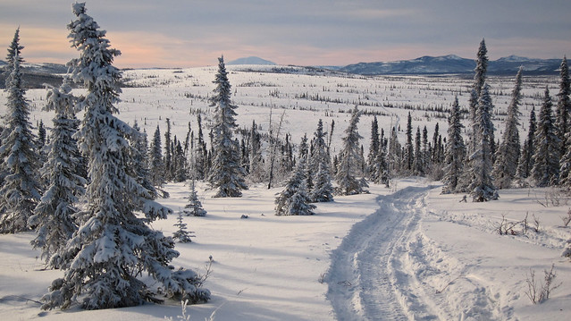Iditarod National historic trail