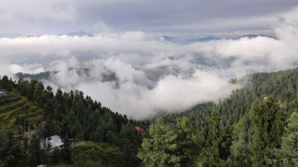 Kufri best place to stay near shimla