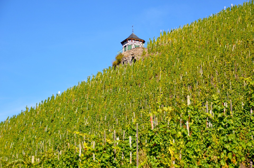 Things To Do In Germany