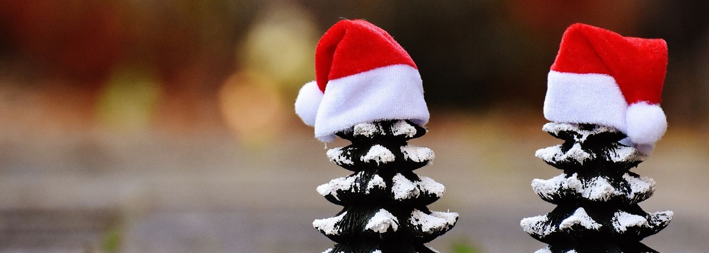 buy outdoor christmas decorations