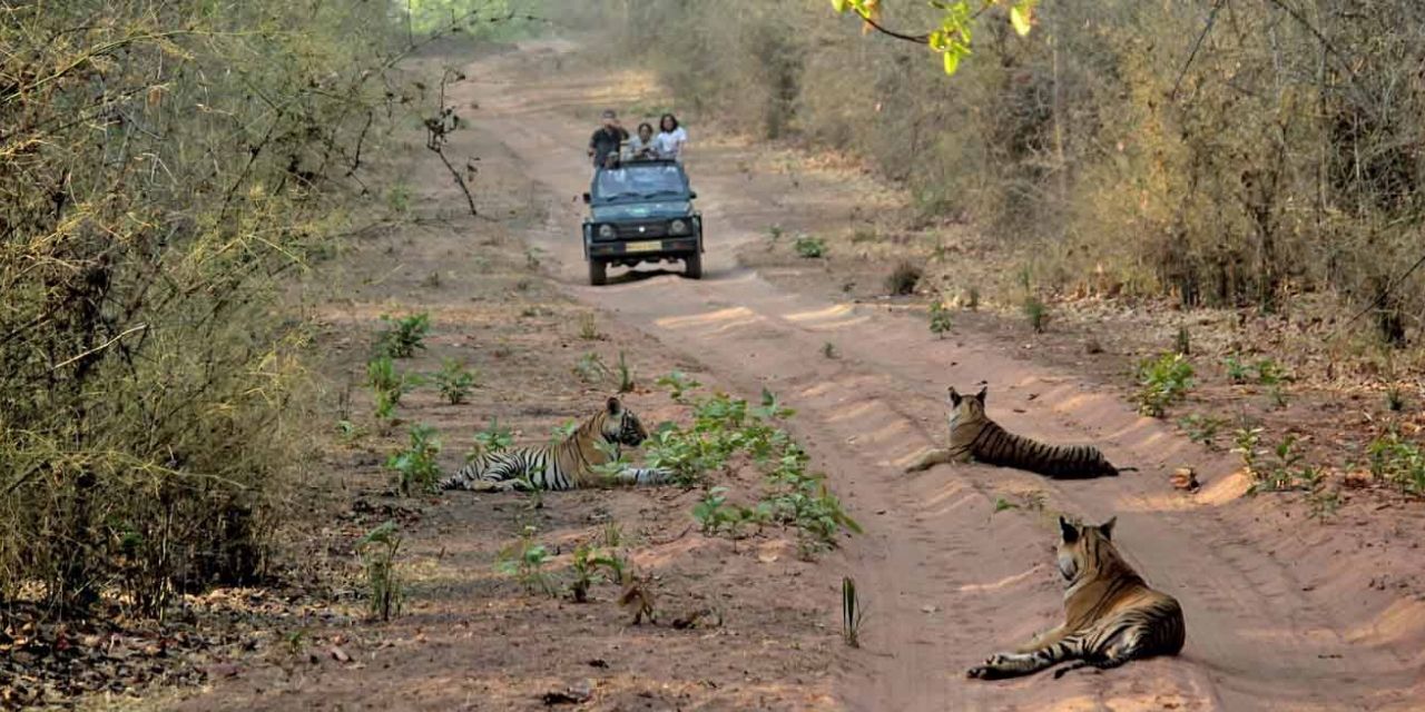 0 Places To Visit in Bandhavgarh National Park (2021) - Sightseeing and ...