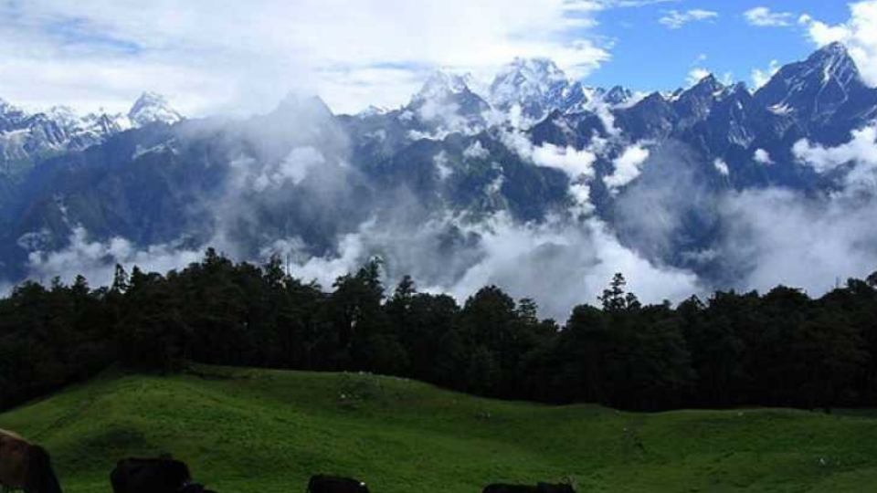 Gurso Bugyal; Places to visit in Auli