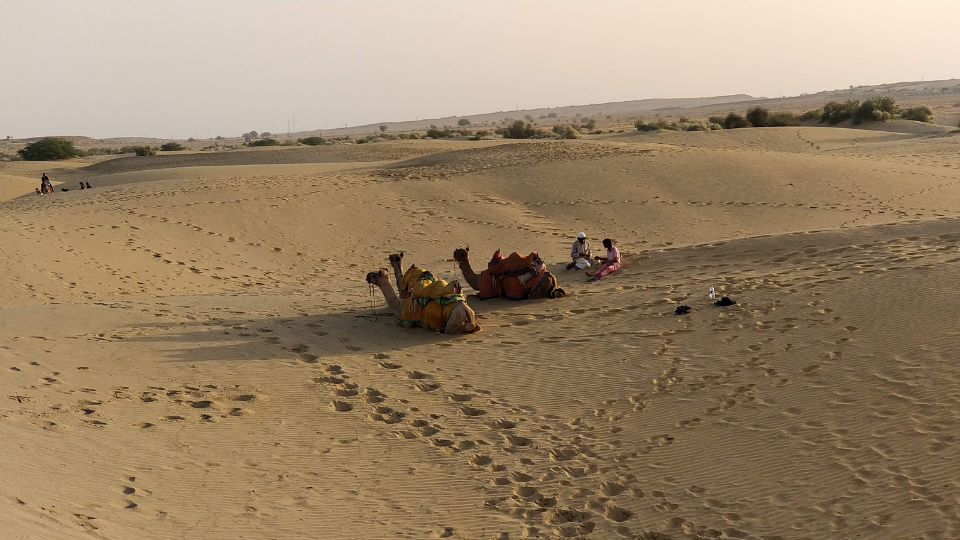 Desert Safari; Places to visit in Jaisalmer