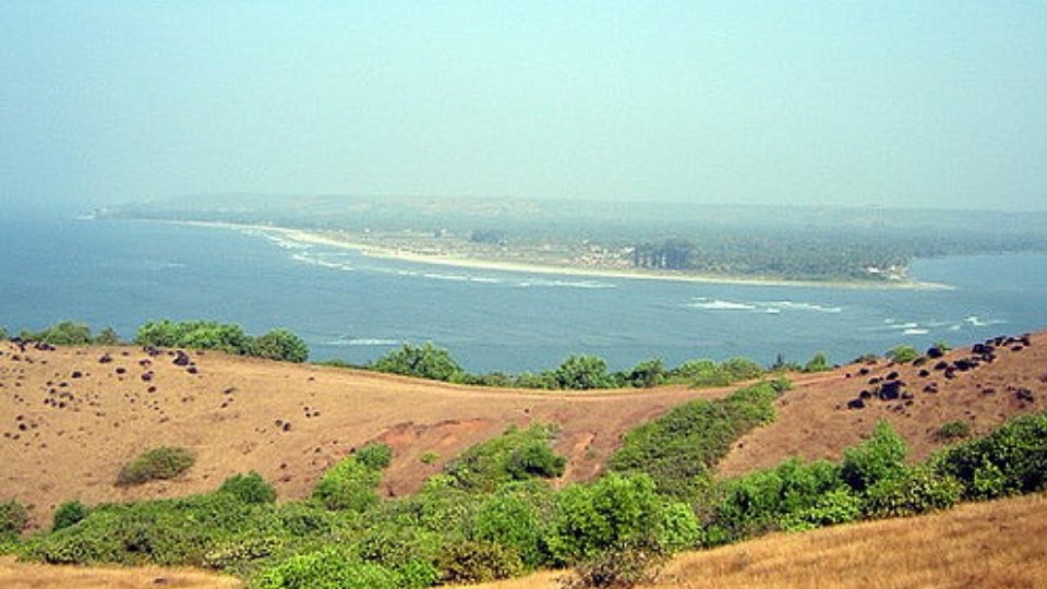 Morjim Beach; Places to visit in Goa