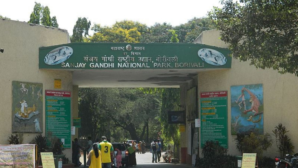 Sanjay Gandhi National park; Places to visit in Mumbai