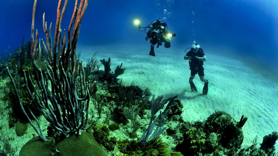 Scuba Diving In Andaman; Places to visit in Andaman & Nicobar