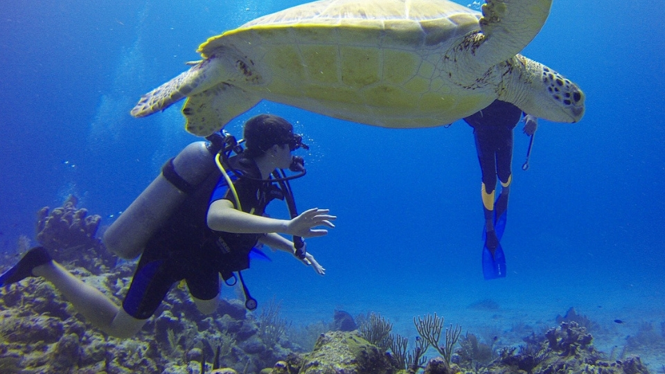 Scuba Diving in Goa; Places to visit in Goa