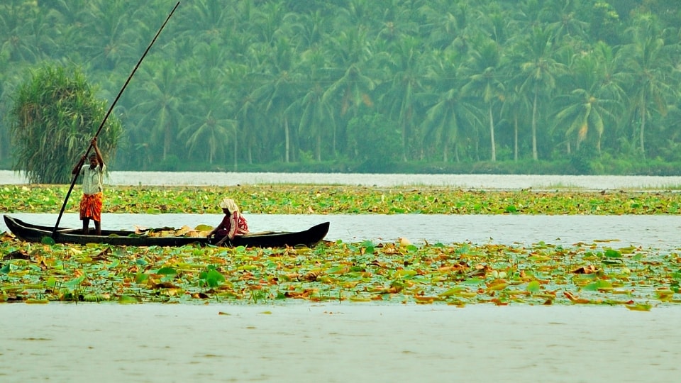 Vellayani Lake; Places to visit in Kovalam